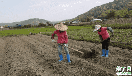 立夏之前都是春天嗎 立夏一般在幾月份4