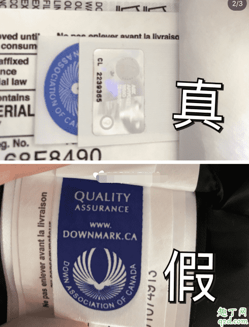 加拿大鵝正品和仿品區(qū)別2020 加拿大鵝真假對(duì)比圖及鑒別技巧6