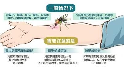 被毒蚊子咬了怎么辦？蚊子咬了怎么消腫止癢