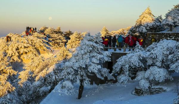 去黃山看雪景什么時(shí)間最好(十二月至二月觀冰雪之花及霧淞)