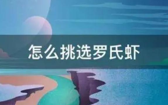 怎么挑選羅氏蝦？煮羅氏蝦熱水下鍋還是冷水下鍋