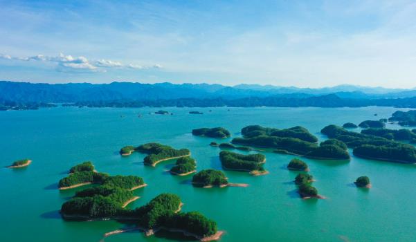 千島湖有哪些必吃的美食(千島湖魚頭、千島玉鱉、土雞煲等)